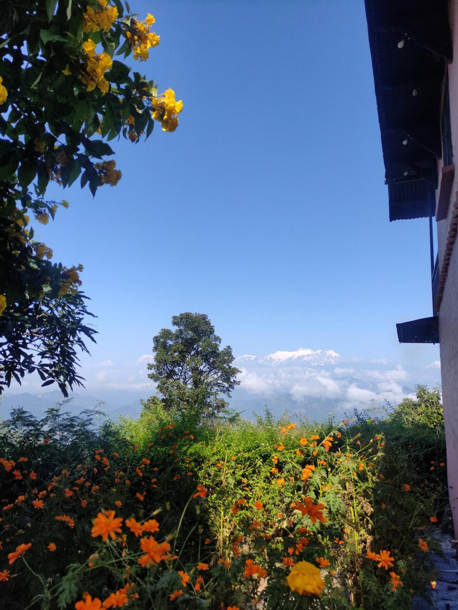 Depche Village Resort Bandipur Ngoại thất bức ảnh