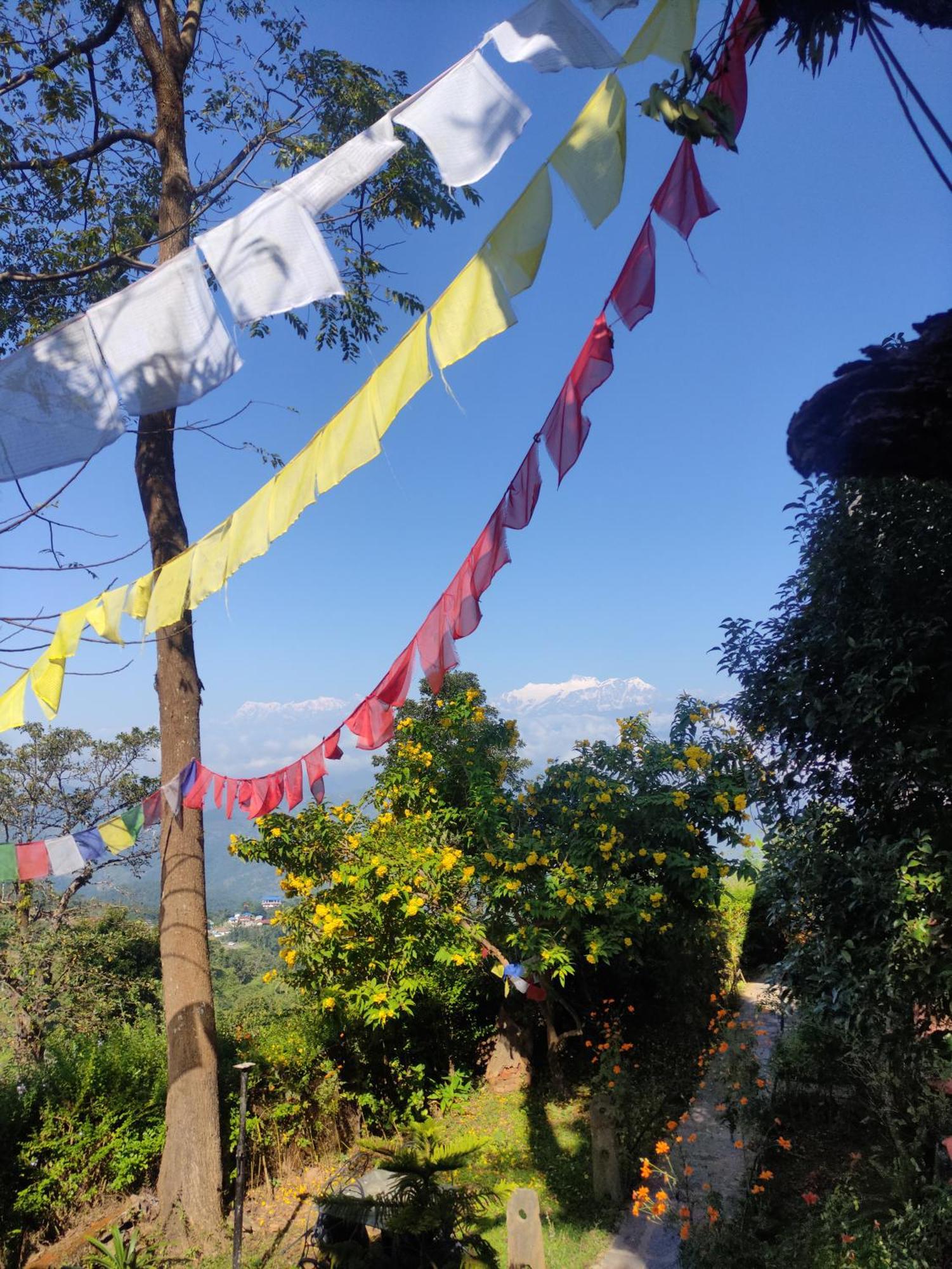 Depche Village Resort Bandipur Ngoại thất bức ảnh
